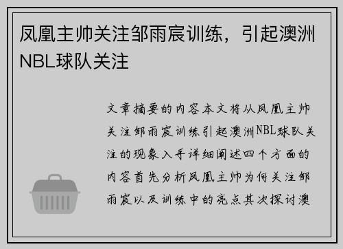 凤凰主帅关注邹雨宸训练，引起澳洲NBL球队关注